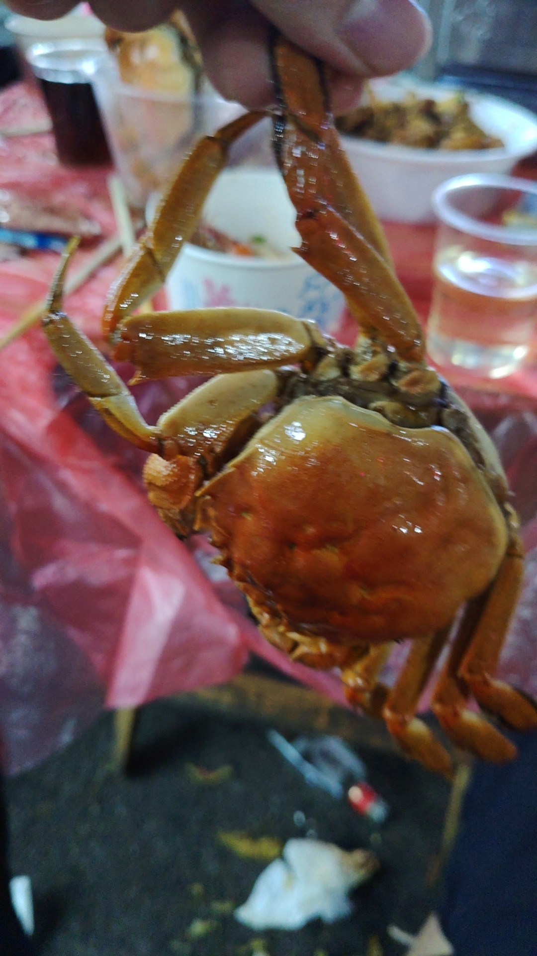 wx_camera_1764423643439.jpg